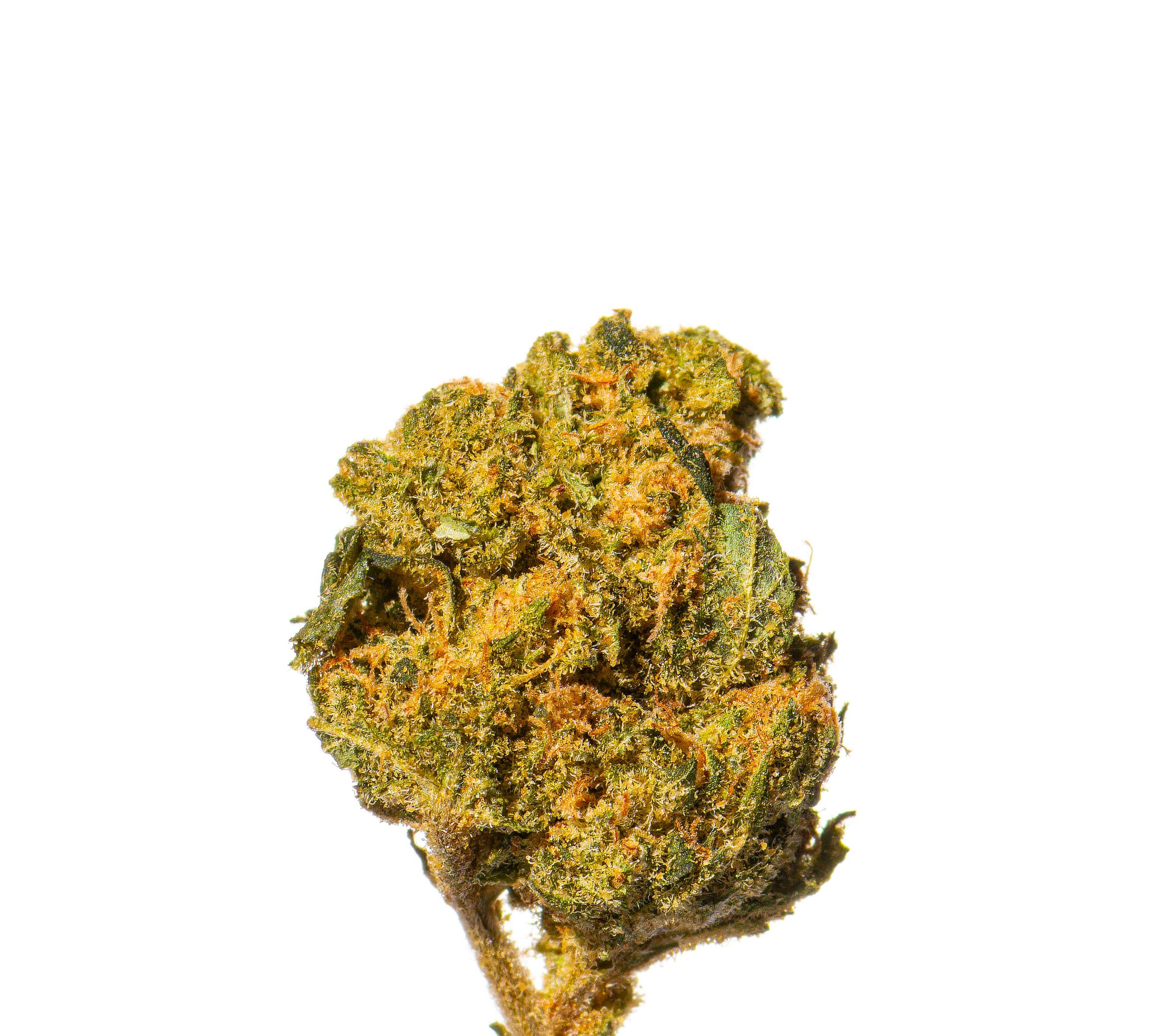 smokeTesting08012026