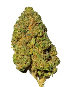 Pedanios 29/1 SRD-CA