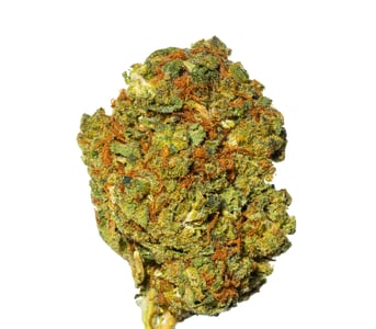 Cannamedical CM 24/1 OG Kush