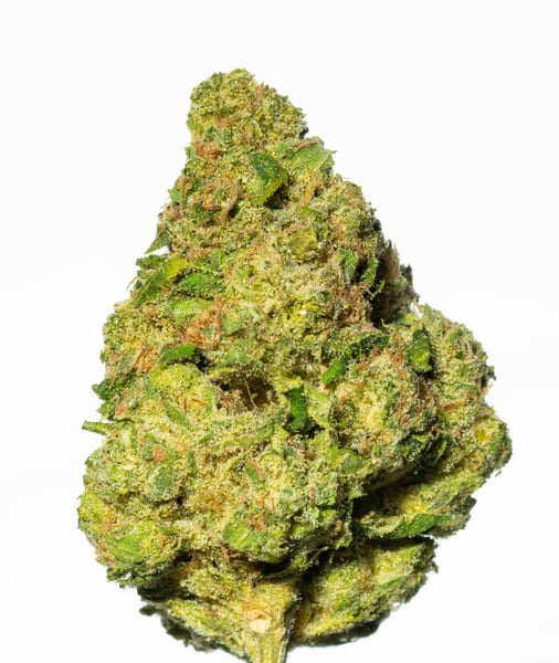 Pedanios 26/1 EHD-CA Electric Honeydew