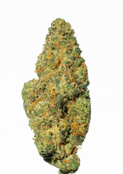 Pedanios 31/1 PND-CA Pink Diesel