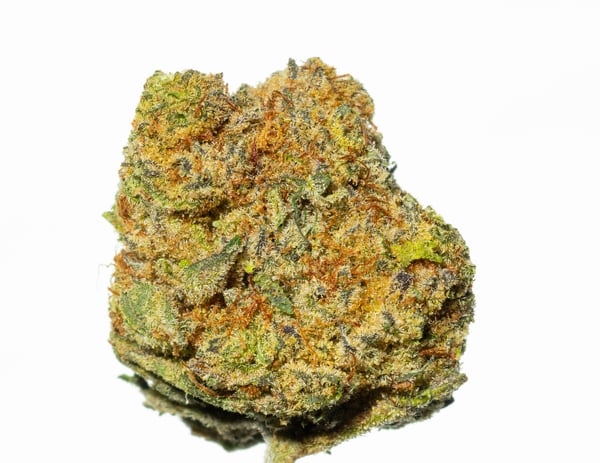 Pedanios 27/1 BLY-CA Black Jelly