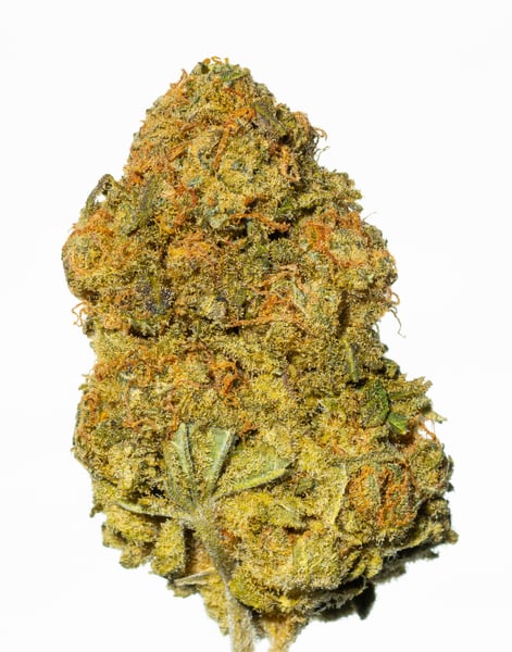 Aleph amber 26/1 Mango Kush