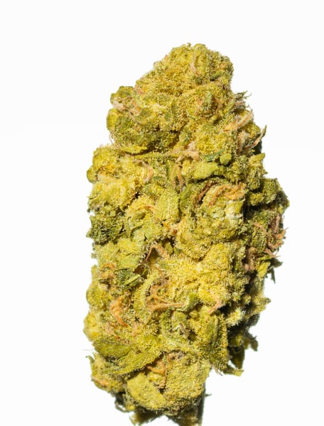 Cannamedical CM 28/1 Sour Pie