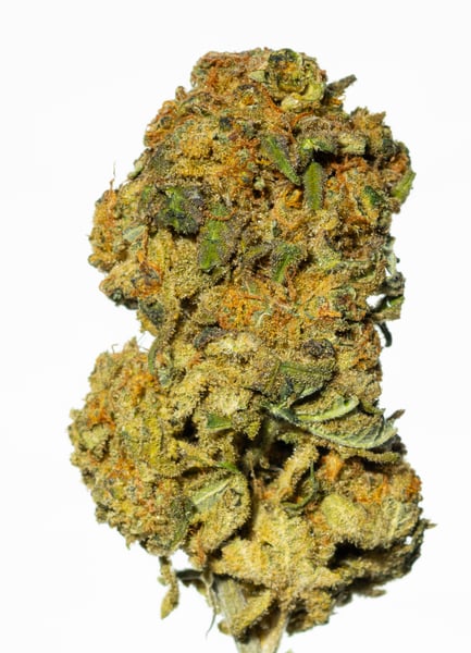 Sibanax SHB 28/1 Shishkaberry