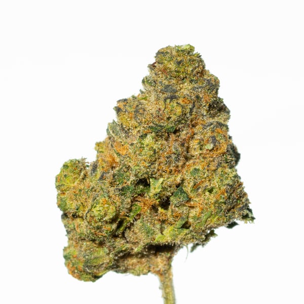 Pedanios 27/1 FRG-CA Farm Gas