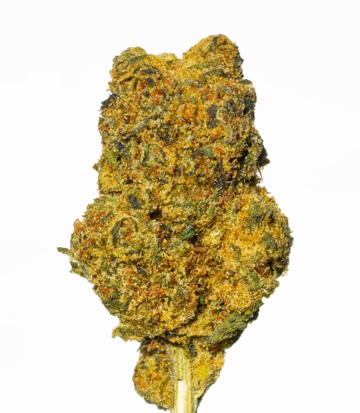 27/1 NICE CB Cocoa Bomba