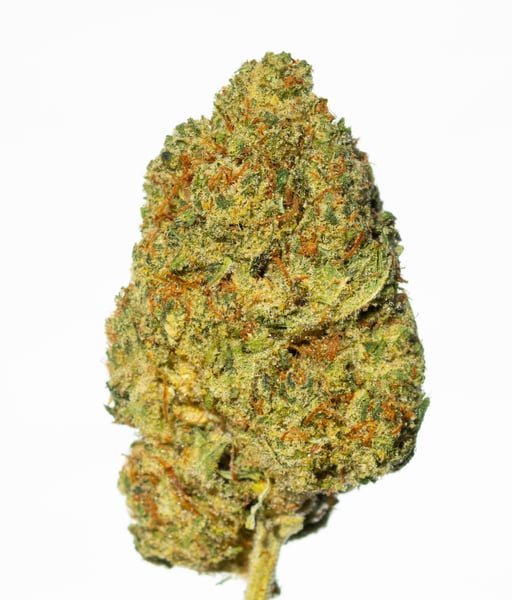 Huala 22/1 CA GRF Grape Face