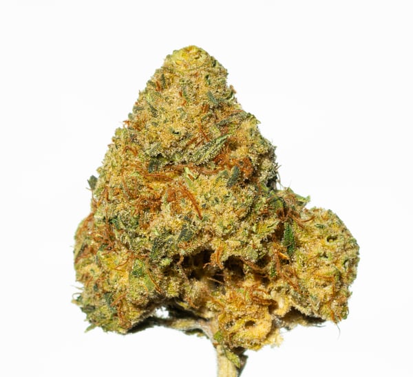 Pedanios 22/1 Ghost Train Haze