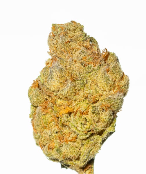 Cannamedical Indica classic ZAF Black Cherry Punch