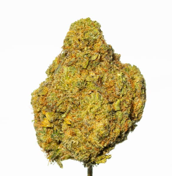 All Nations LT 21/1 Lemon Tartz