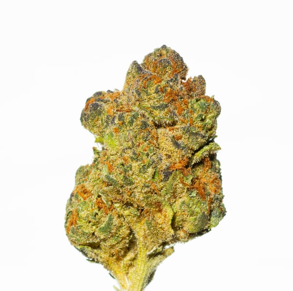 Cannamedical Indica Classic 20/1 ZAF Dank Wafers