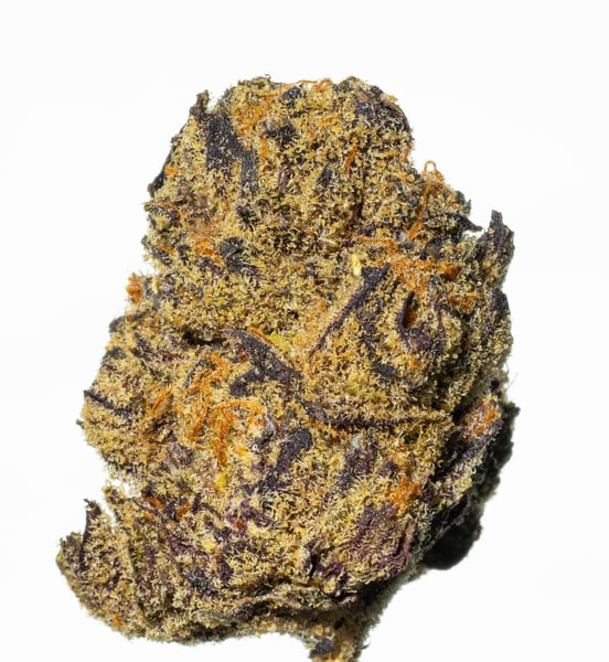 Vasco PR 21/1 Pave Runz