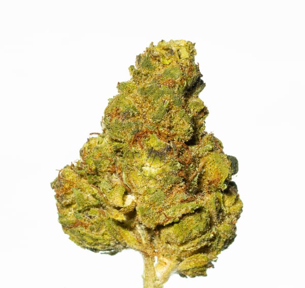 Cannamedical Indica Forte SM Pineapple Express