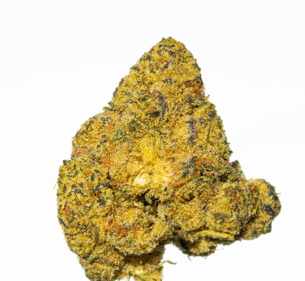 Lot 420 GLOC Gelato x Orange Cake