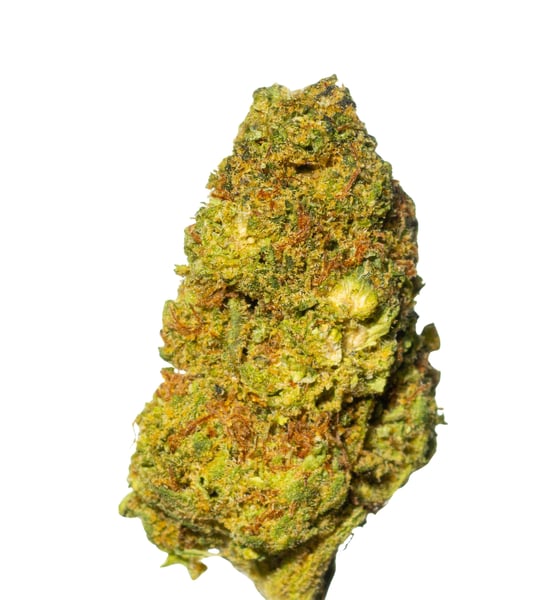 THC AKUT BF 26 PSC ZATLA